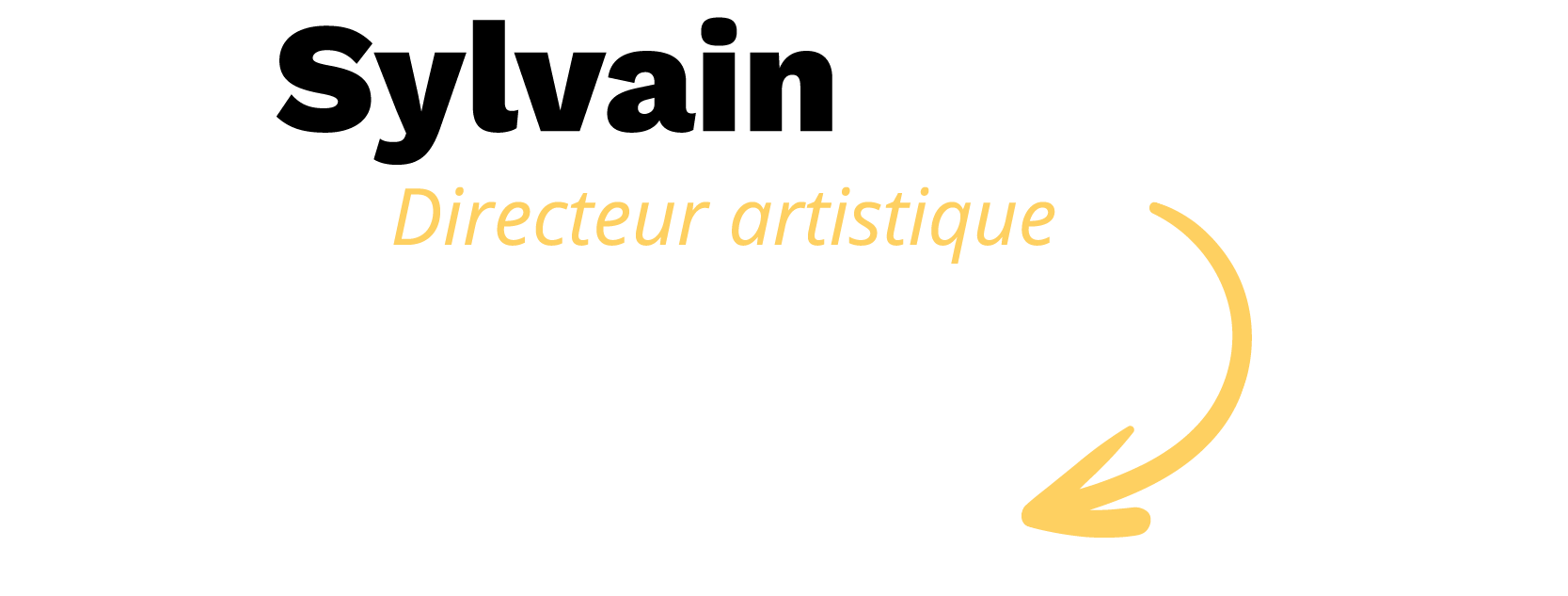 Directeur artistique